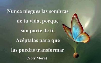Integrar nuestras sombras