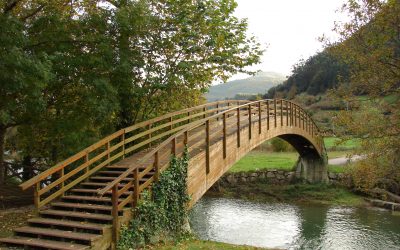 COPARENTALIDAD, un puente a construir