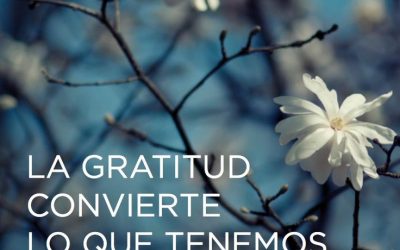La gratitud convierte lo que tenemos en suficiente.