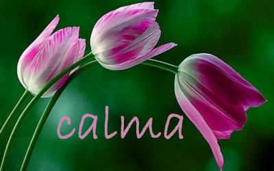 Aprender a vivir en calma.
