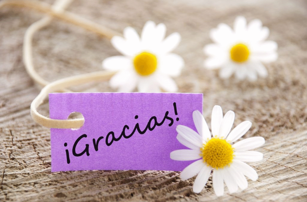La gratitud: un camino hacia una vida más plena