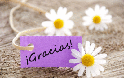 La gratitud: un camino hacia una vida más plena